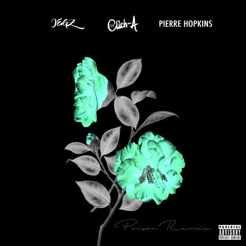 Poison Remix cover art