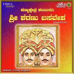 Punyakshetra Kalburagi Sri Sharanu Basavesha