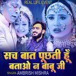 Sach Bat Puchhti Hu Batao Na Babu Ji, Pt. 01 artwork