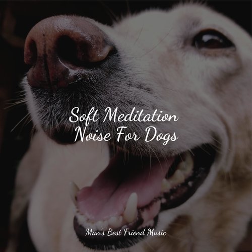 Meditating Music cover art