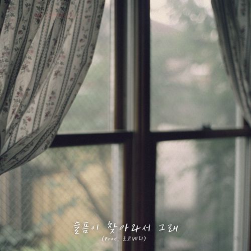 슬픔이 찾아와서 그래(Prod. 로코베리) (Sorrow at my door(Prod. ROCOBERRY))