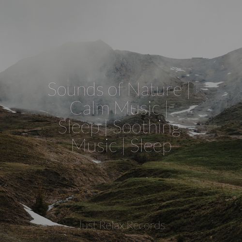 Harmonic Unity Resonance cover art