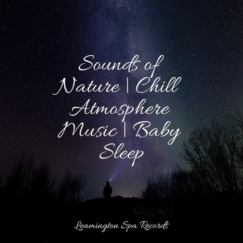 Sleepy Head cover art
