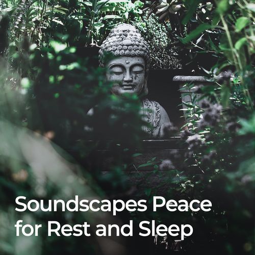 Soundscapes of Peace for Rest and Sleep_poster_image