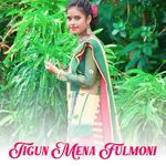 Tigun Mena Fulmoni