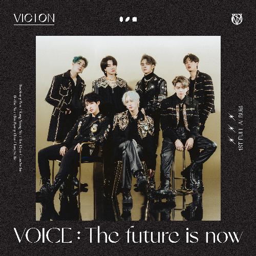 VOICE : The future is now_poster_image