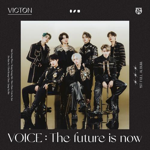 VOICE : The future is now_poster_image