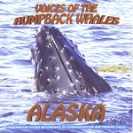 A Discussion Among Whales