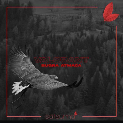 Valorant cover art