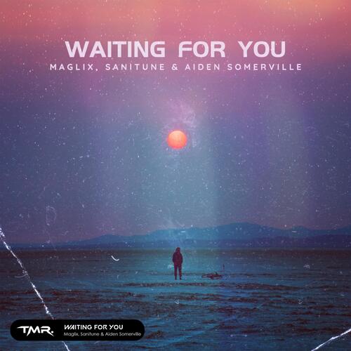 Waiting For You_poster_image