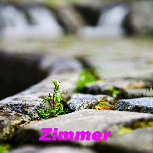 Zimmer cover art