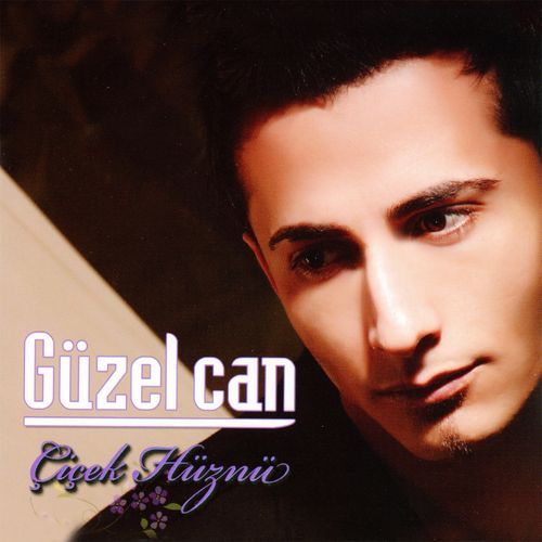 Bir İki Fikrim cover art