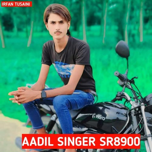 AADIL SINGER SR8900