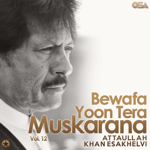 Bewafa Yoon Tera Muskarana, Vol. 12_poster_image