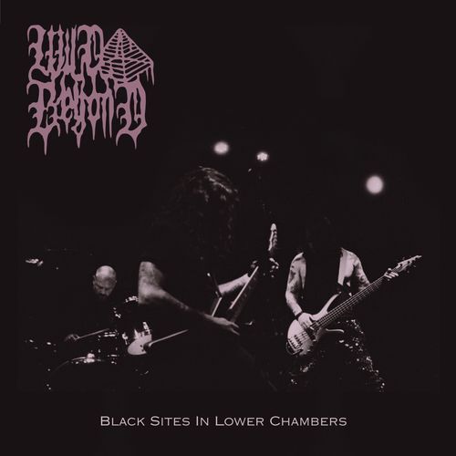 Slaughtering the Lion cover art
