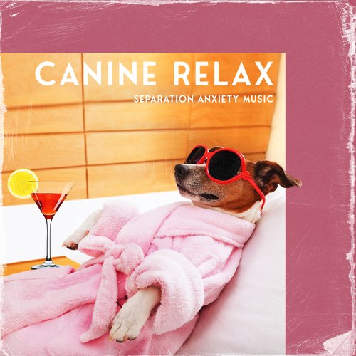 Canine Relax: Separation Anxiety Music, Relax Your Dog, Calm Dogs Sleep