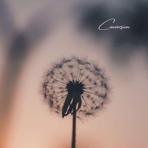Conversion cover art