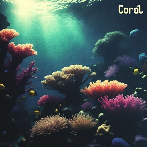 Coral