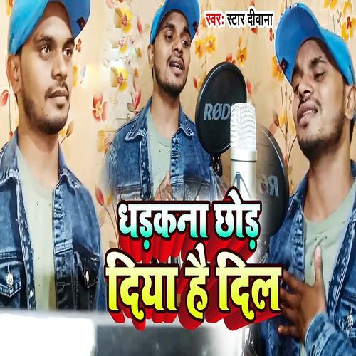 Dhadkana Chhod Diya Hai Dil