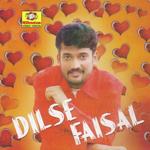 Dil Se Faizal
