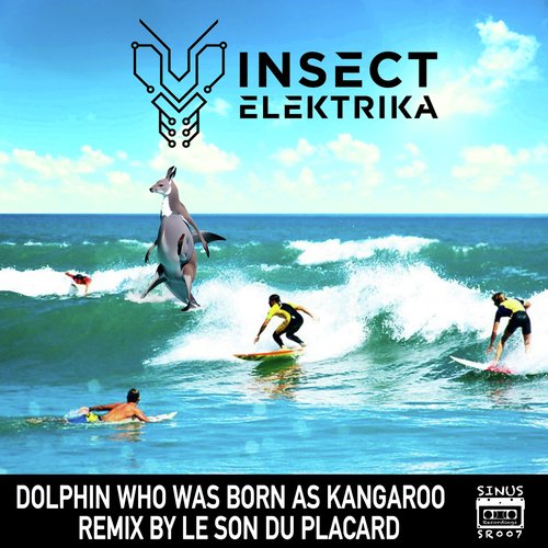 Dolphin Who Was Born as Kangaroo
