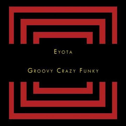 Heavy Funky Groove cover art