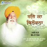 Mool Mantar