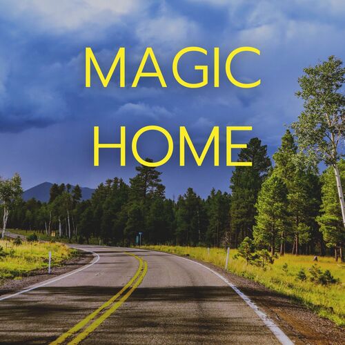 Magic Home_poster_image