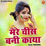 Mere Chees Bani Kaya