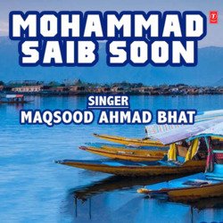 Mohammad Saib Soon-NQsRfBMHRlE