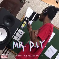 Mr. Diy