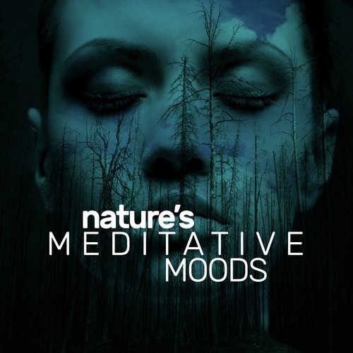 Nature's Meditative Moods