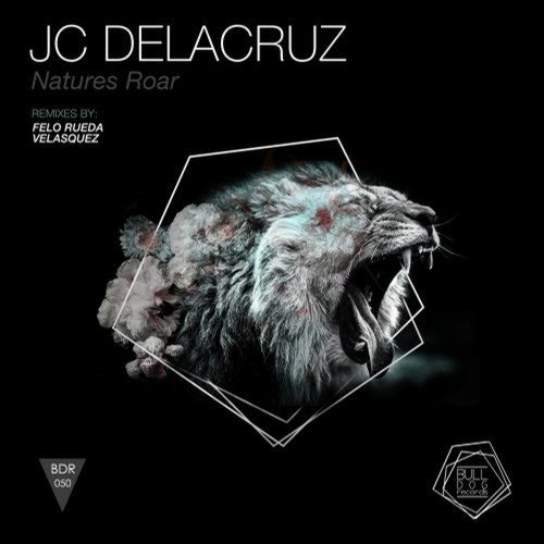 Roar (Felo Rueda Remix) cover art
