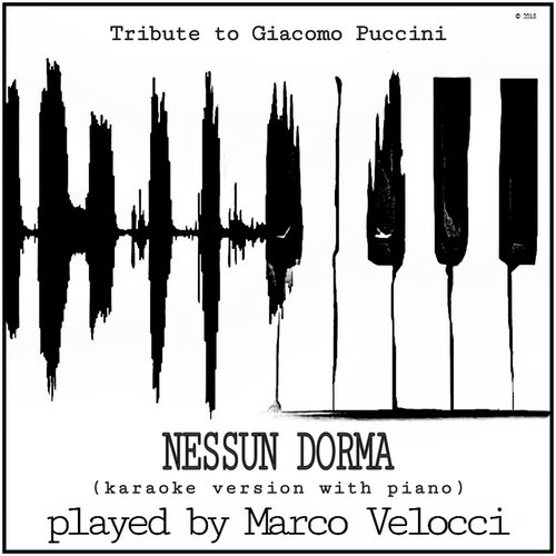 Nessun dorma (Karaoke Version with Piano)