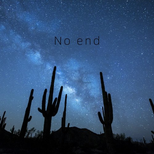 No end_poster_image