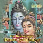Om Namasivaya(Dwadasa Jyothirlingalu)   01