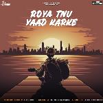 Roya Tnu Yaad Karke