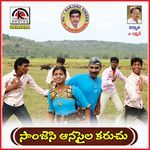 Sanjiseyana Sailakaruchu