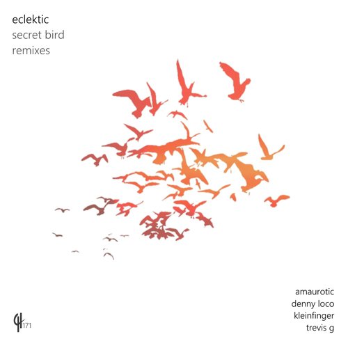 Secret Bird (Denny Loco Remix) cover art