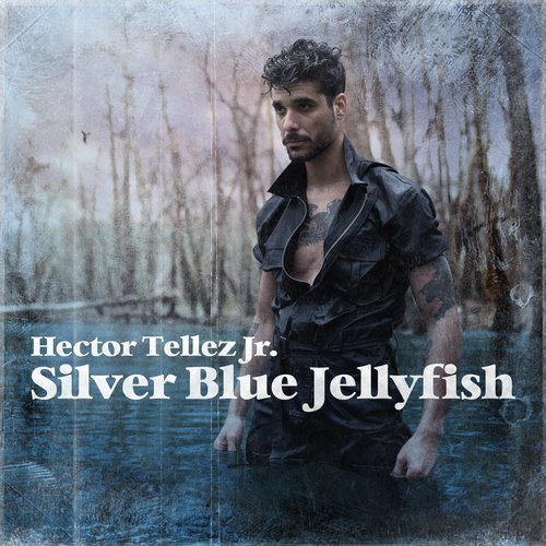 Silver Blue Jellyfish (feat. Krist Novoselic & Peter Buck)