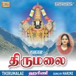 Srinivasa Kalyanam