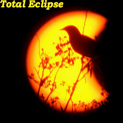 Total Eclipse