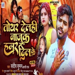 Toyar Delhi Najuk Hamar Dil Ke (Maithili)-ElgGCTgFfkk