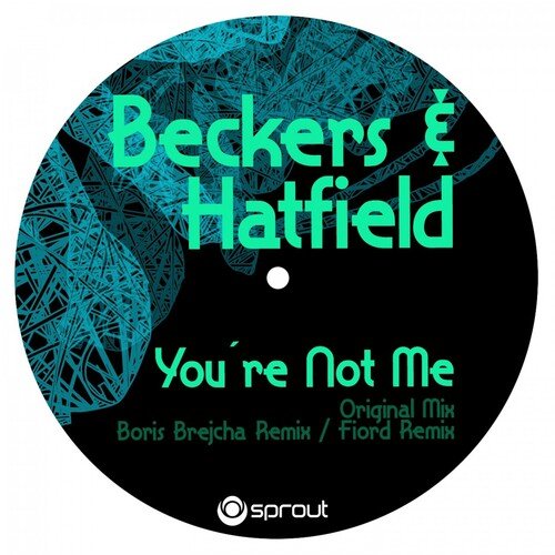 You're Not Me (Boris Brechja Remix)