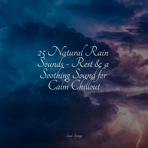 Soothing Ocean Sounds cover art
