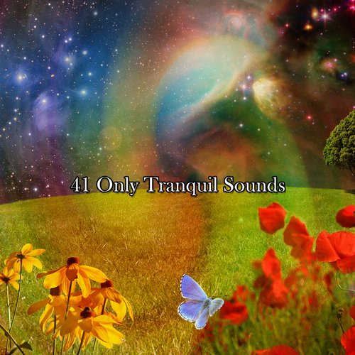 41 Only Tranquil Sounds