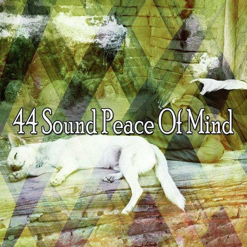 44 Sound Peace of Mind