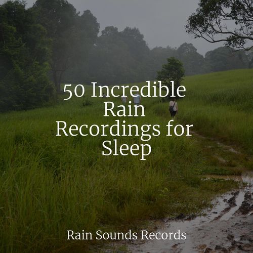 50 Incredible Rain Recordings for Sleep