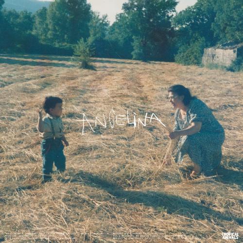 Angelina (Bawrut Remix) cover art