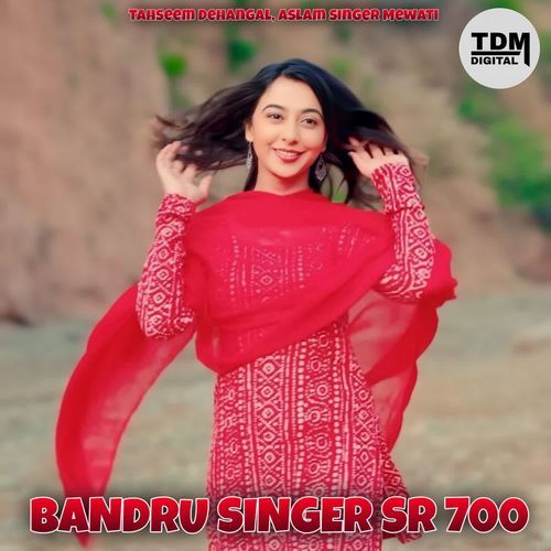 BANDRU SINGER SR 700